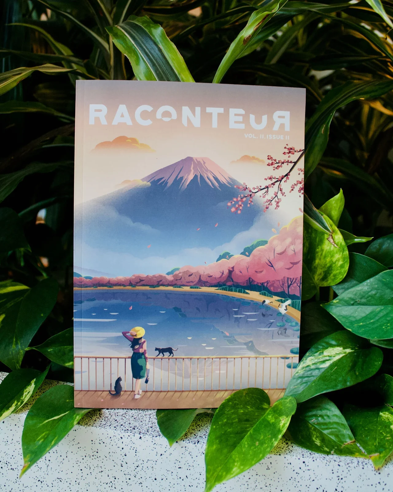 Raconteur magazine artwork